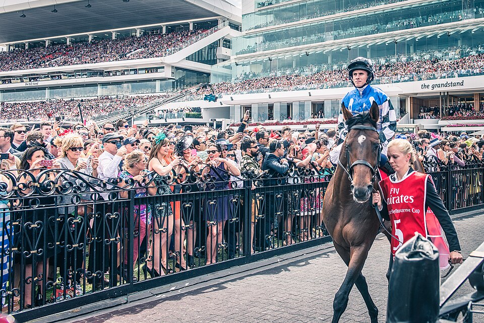 Protectionist before the 2014 Melbourne Cup